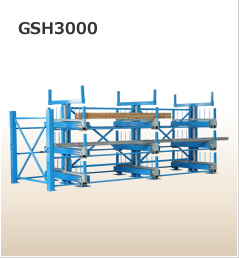 GGSSH30000