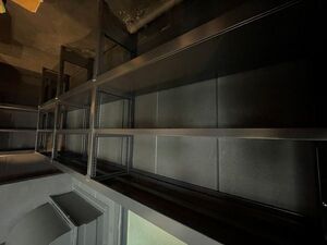 20250213-02.jpg