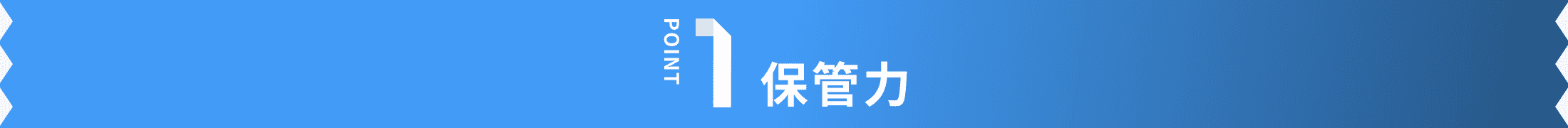 保管力