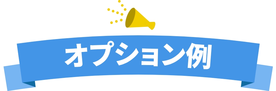 オプション例