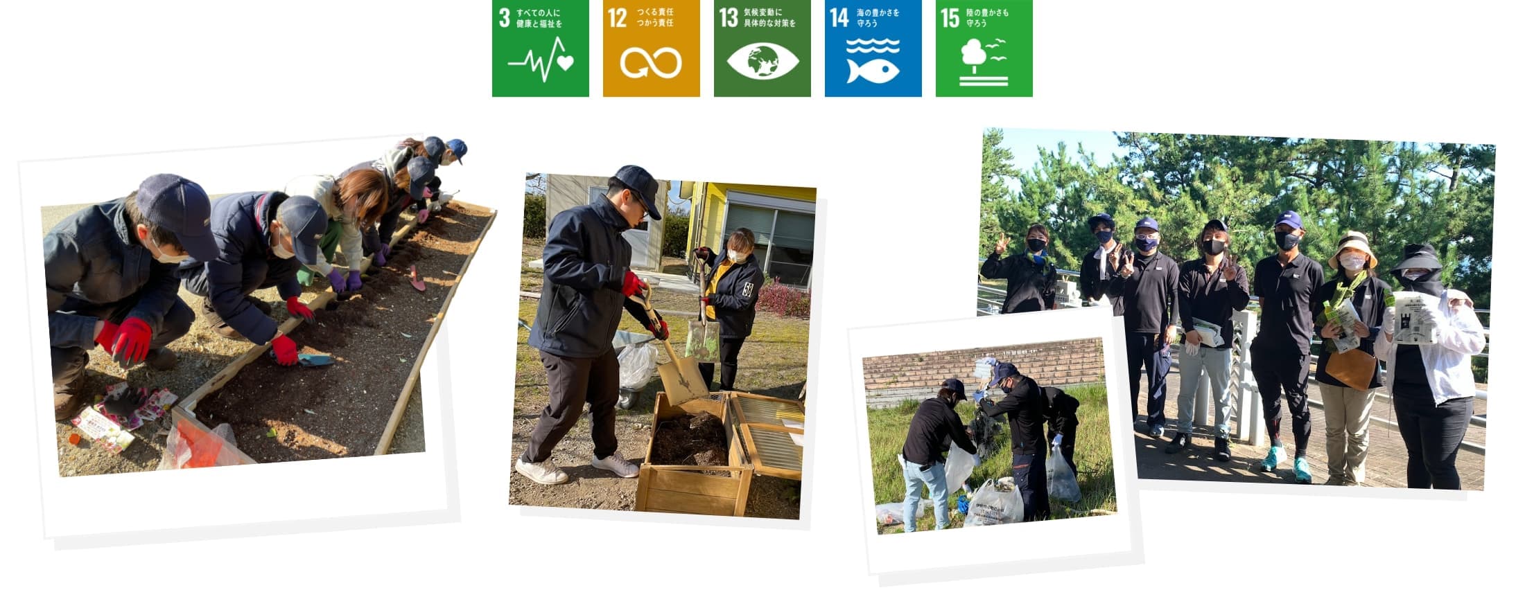 sdgs/3.12.13.14.15