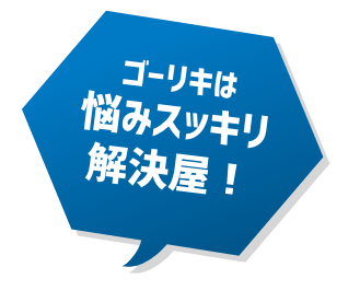 ゴーリキは悩みスッキリ解決屋